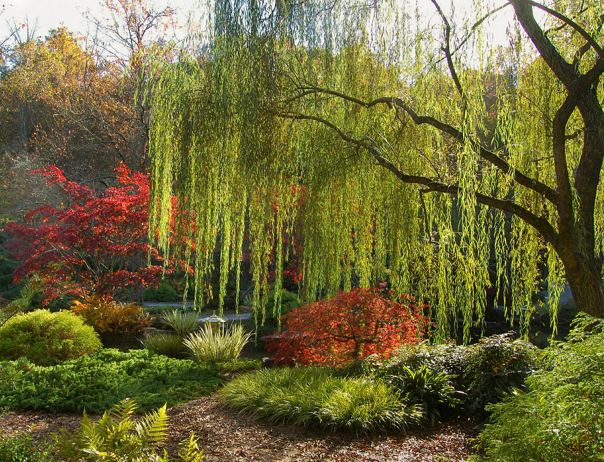 Autumn Garden
