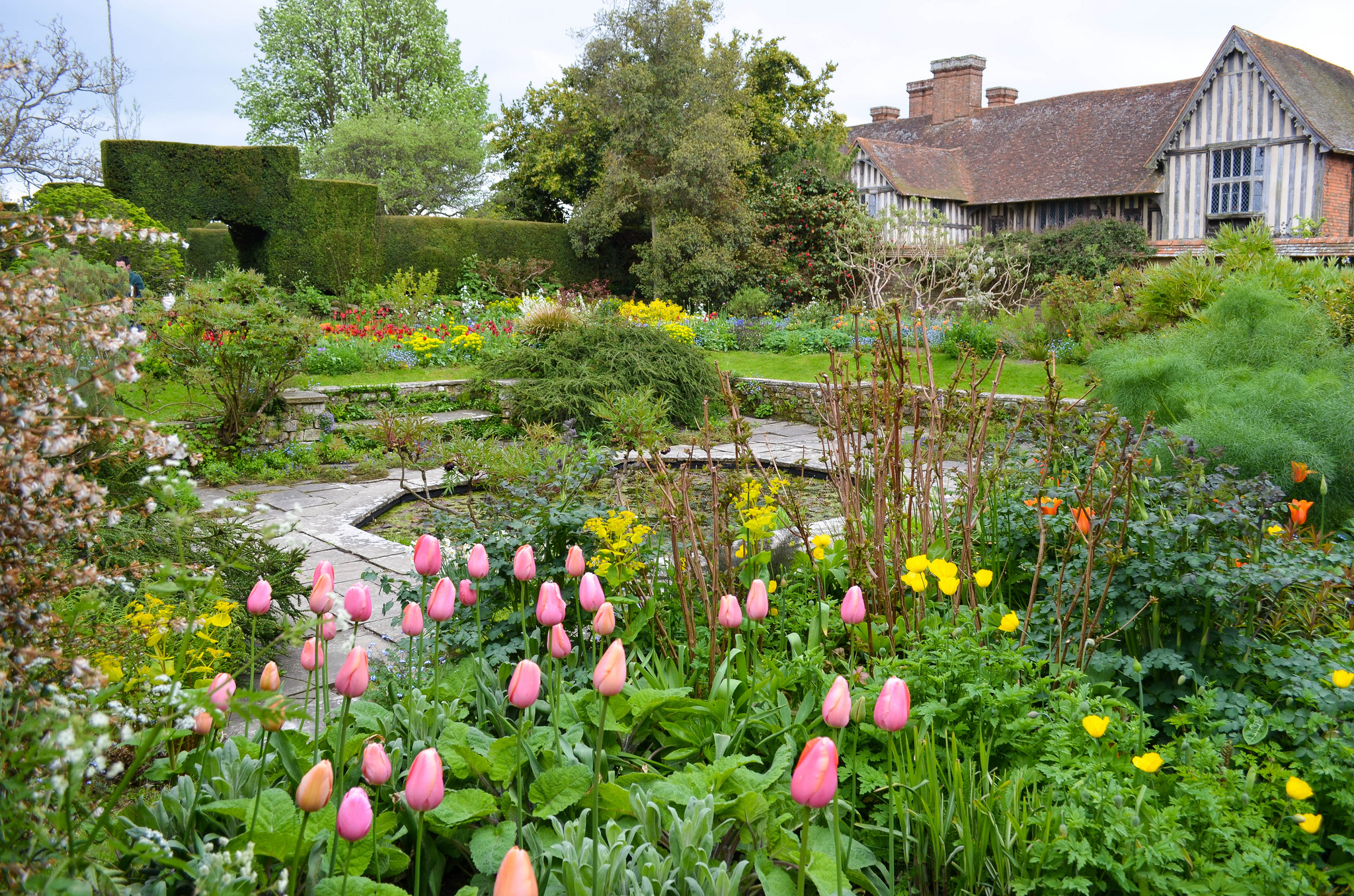 Garden in the Spring