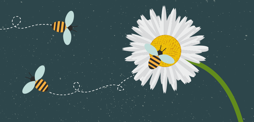bee