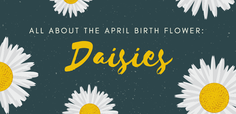 daisires