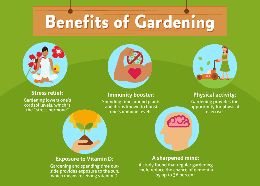 growing a garden-BENEFITS