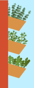 growing a garden-VERTICAL GARDEN