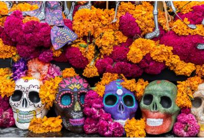 "Unveiling the Language of Flowers: A Fascinating Journey Through Floral Symbolism"