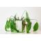 Green Thumb Chronicles: Troubleshooting Common Plant Issues