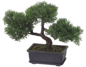 9" Cedar Bonsai (Artificial)