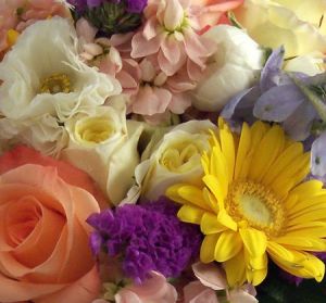 Flowers for 4 Weeks