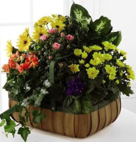 Gentle Blossoms Basket