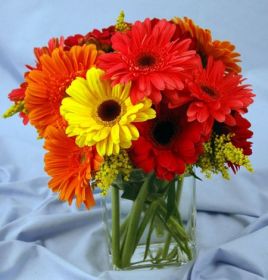 Gerbera Daisy Vase
