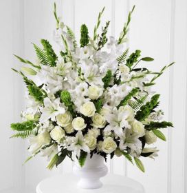 Morning Stars Arrangement