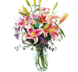 Stargazer Lilies in Vase