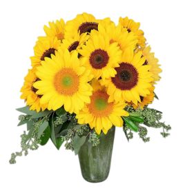 Sunflower Surprise