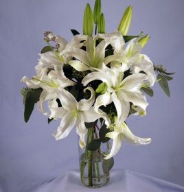 White Oriental Lilies