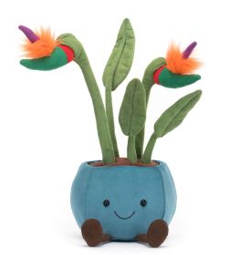 Amuseable Bird of Paradise Plant