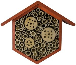 Beneficial Bug House: Hibiscus