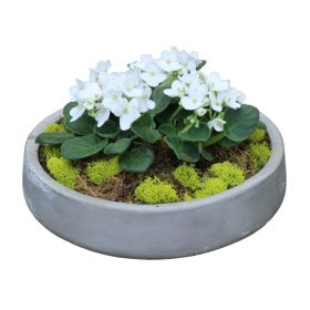 Concrete Violet Planter