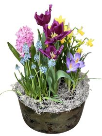 Spring Blooming Bulb Garden