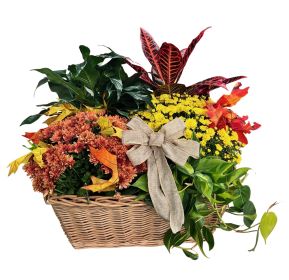Fall Flowering Planter