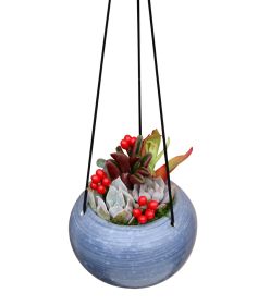 Festive Hanging Succulent