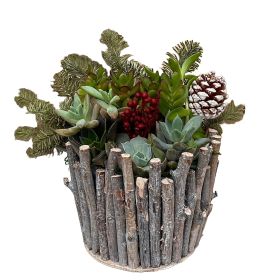 Festive Succulent Garden