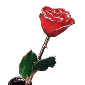 Gold Dipped Red Rose