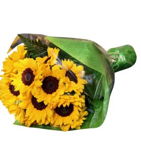 Sunflower Special