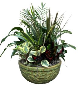 Luxury Dish Garden Planter