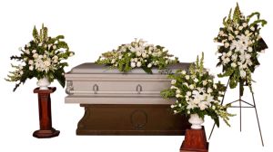 Modern Elegance Funeral Package