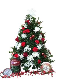 Tabletop Boxwood Tree