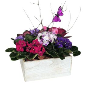 Rustic Violet Planter