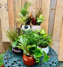 Sports Planter