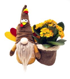 Terrance the Turkey Gnome