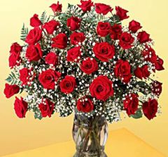 3 dozen roses arranged in a vase with babies breath