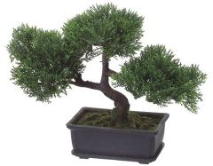 Artificial Cedar bonsai tree