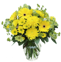 Cheer Up Bouquet