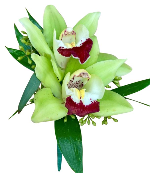 Sweet Innocence Boutonniere 